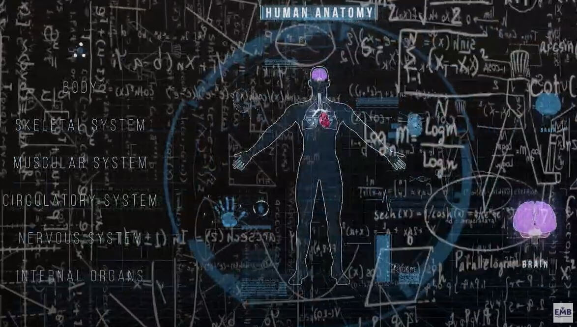 Diagram of human anatomy, organ systems, and mathematical equations
